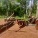 សហគមន៍ខេត្តឧត្តរមានជ័យបារម្ភពីការបាត់បង់ព្រៃឈើ បើគ្មានវិធានការទប់ស្កាត់ទាន់ពេល