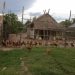 កសិករម្នាក់ចែករំលែកភាពជោគជ័យក្នុងការចិញ្ចឹមមាន់បែបបច្ចេកទេស