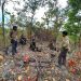អ្នកចុះល្បាតថា បទល្មើសព្រៃឈើនៅតំបន់ឱរ៉ាល់បានកើនឡើងដោយគ្មានការទប់ស្កាត់ពីអាជ្ញាធរ