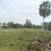 ទិដ្ឋភាព ព្រែកសាធារណៈរបស់រដ្ឋស្ថិតនៅភូមិព្នៅឃុំតាសួស ស្រុកស្វាយជ្រុំ ខេត្ដស្វាយរៀង។ (រូបភាពផ្ដល់ឱ្យ)