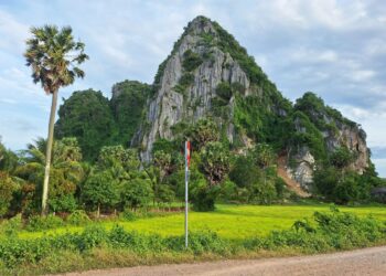 ទិដ្ឋភាពភ្នំដំរីស្ថិតនៅក្នុងភូមិភ្នំដំរី ឃុំដំណាក់កន្ទួតខាងជើង ស្រុកកំពង់ត្រាច មានចម្ងាយប្រហែល២៧គីឡូម៉ែត្រពីទីរួមខេត្តកំពត កាលពីថ្ងៃទី២០ ខែសីហា ឆ្នាំ២០២៥។ (អ៊ុក ដែន)
